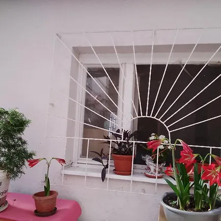 In Flowers アパート ベオグラード